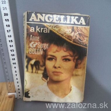 Kniha