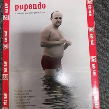 DVD nosič