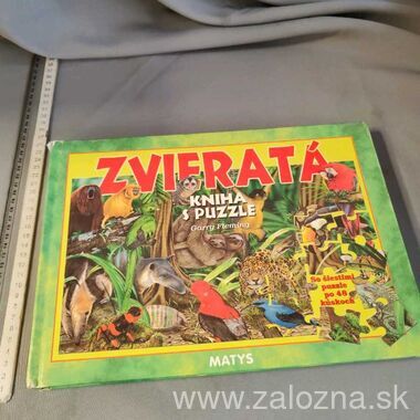 Kniha
