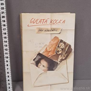 Kniha